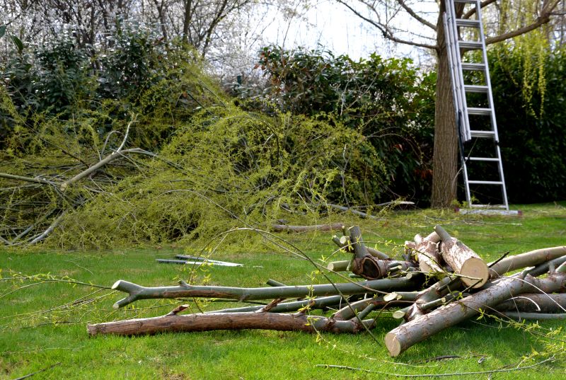 Tree Branches and Debris Cleanup
