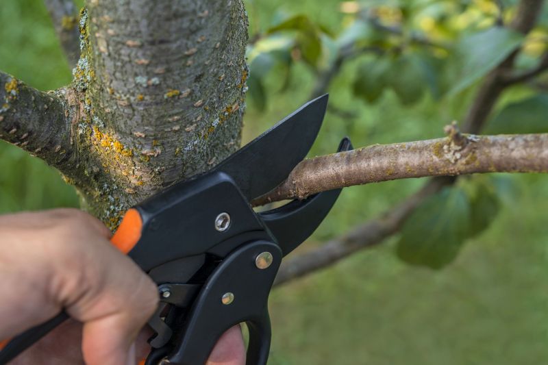 Pruning Shears