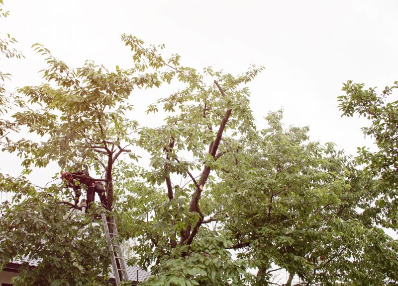 Quick Maintenance Habit